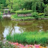 Oczka wodne ułatwiają utrzymanie odpowiedniej wilgoci.