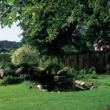 Oczko wodne i skalniak. Mazurska przystań