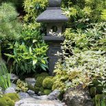 Oczko wśród klonów