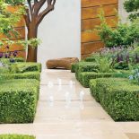 Oczko wśród klonów