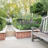 Oczko wśród klonów