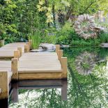 Oczko wśród klonów