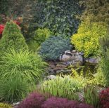 oczko wodne w ogrodzie zdjęcia