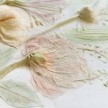 Romę Roman fascynuje eteryczne piękno kwiatów i ziół. Długo zastanawiała się, jak zatrzymać ich przemijanie.