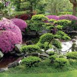 Ogród w stylu japońskim - aranżacja