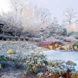 Ogród japoński pod śniegiem. Ogród japoński pod śniegiem