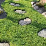 Ogród japoński - pomysł nie jest dla narwańców. Potrzeba mnóstwo cierpliwości, by rzecz doprowadzić do końca.