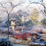 Ogród japoński zimą. Ogród japoński pod śniegiem