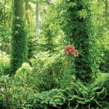 Ogród kwitnie od wiosny do jesieni. Co roku w innych kolorach. Wszystko dzięki ruchomemu ogródkowi,