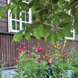 Ogród otaczający dom. Z duchem renesansu