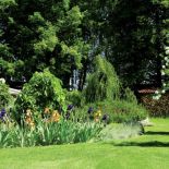 Ogród otoczony jest sosnowym lasem. Podchodzą tu dziki, sarny, zające, bo wiedzą, że zawsze mogą liczyć na jakiś kąsek.