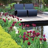 Wiosna nad stawem – ogród pełen tulipanów