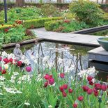 Wiosna nad stawem – ogród pełen tulipanów