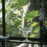 Paryska dżungla partnera Yves a Saint Laurenta