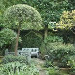 ogród partnera Yves a Saint Laurenta