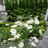 Ogród przy zabytkowej willi w Gdańsku