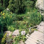 Ogród sprawia wrażenie na wpół dzikiego.