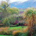 Ogród w stylu angielskim. Jesień kolorowych traw