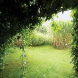 Ogród zachwyca bujnością roślin. Ogród pełen traw i żywopłotów