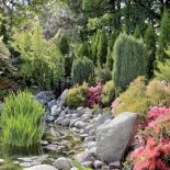 Ogród zachwyca swoją kolorystyką. Japoński ogród w Janowicach