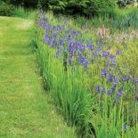 Ogród zachwyca swoją różnorodnością.