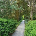 ogród ze starymi drzewami i zakątkami do odpoczywania