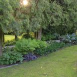 ogród ze starymi drzewami i zakątkami do odpoczywania