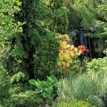 Ogród ze stawem, altankami i ławeczkami do dumania.