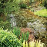 przedwiośnie w angielskim ogrodzie