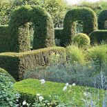 Aranżacja ogrodu: rośliny stały się rzeźbą