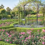 Aranżacja ogrodu: rośliny stały się rzeźbą