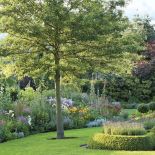 Aranżacja ogrodu: rośliny stały się rzeźbą