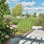 oczko wodne w ogrodzie