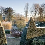 Ogrodnik zastąpił róże cisowymi żywopłotami, bukszpanami przystrzyżonymi w sześciany i drzewkami oliwnymi w kształcie kostek