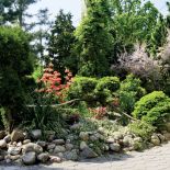 Ogrodowa alejka wije się pomiędzy rabatami i grupami drzew i krzewów. Idąc nią, odkrywamy coraz to nowe zakamarki ogrodu.