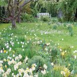 Urządzamy ogród: trendy 2018