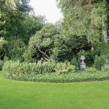 Ogromna polana porośnięta angielskim trawnikiem