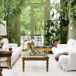 Oranżeria to królestwo ogromnych juk, palm, fikusów i bluszczy.