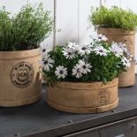 Osłonki zbite na wzór drewnianej misy, w środku wyścielone folią. Sprawdzą się jako balkonowe zielniki