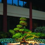 Lampki Ice Led wyglądają jak kostki lodu, są z matowego piaskowanego szkła, LUCE LIGHT, lucelight.it