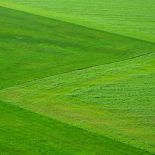 Takie połączenie dwóch rodzajów trawnika jest możliwe dzięki zastosowaniu trawy z rolki.