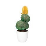 Pachnące: kaktus, tort i lawendowa muffinka, rossocuore.it