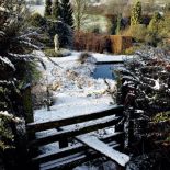 Pełny kolorów ogród zimowy. Ogród w zimowej szacie
