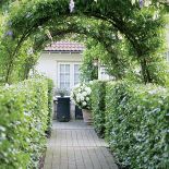 Pergolę oplotła glicynia, roślina typowa dla wiktoriańskich ogrodów