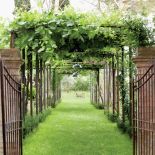 Włoski ogród jak ze starej ryciny