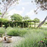 jak urządzić ogród z pergolą