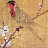 Pięciokolorowa papuga na kwitnącym drzewie morelowym , Emperor Huizong, 1119 r.