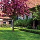 Piękna kolorystyka drzew i krzewów. Farma pełna pięknych staroci