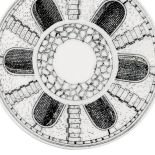 Piero Fornasetti i jego muza