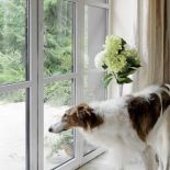 Pies właścicieli najbardziej lubi ogród.